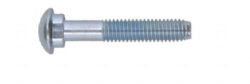 Track Bolt